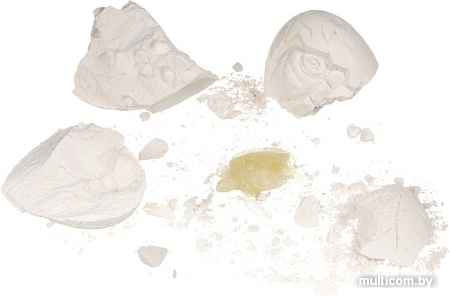 Набор для опытов Bondibon Науки с Буки Яйцо черепахи ВВ4116