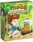 Набор для опытов Bondibon Науки с Буки Город муравьев ВВ1549