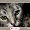 Алмазная мозаика Алмазная Живопись Кошачий портрет АЖ-1184