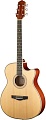 Акустическая гитара Naranda TG220CNA