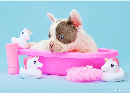 Картина по номерам Рыжий кот Бульдог в ванне Х-3896