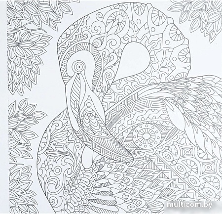 Книга издательства Проф-Пресс Раскраска-перевертыш. В животном царстве