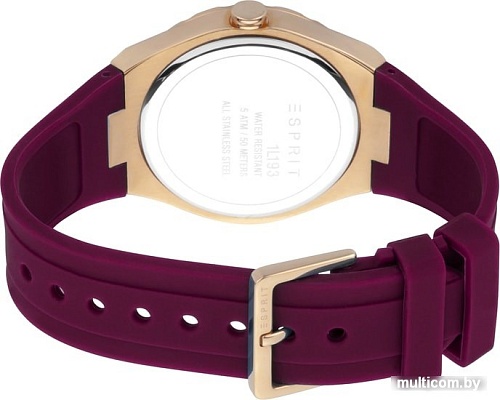 Наручные часы Esprit Lou ES1L193P0035