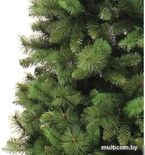 Royal Christmas Montana Slim 1.95 м