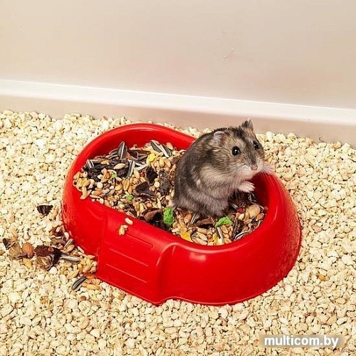 Клетка Ferplast Maxi Duna Multy 57033499W1