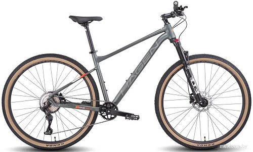 Велосипед Hagen 1.9 L 2025 (пасмурный серый)