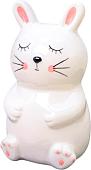 Копилка для денег ILikeGift Sleepy bunny FC191121 (белый)