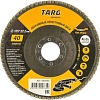 Шлифовальный круг Targ 663404