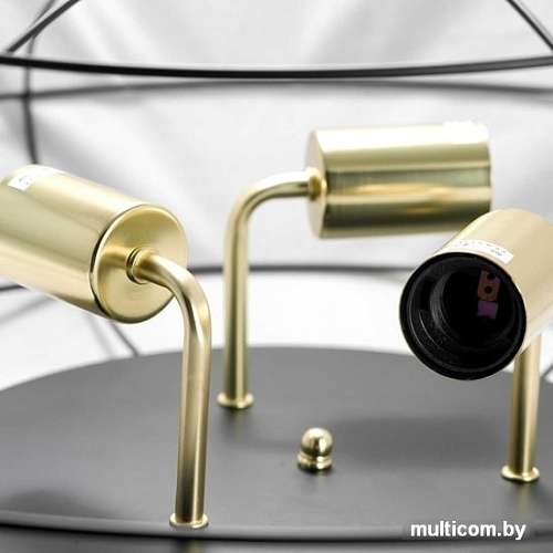 Припотолочная люстра Lussole LOFT GRLSP-8195