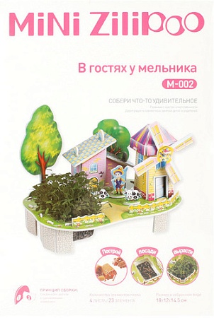 Набор для опытов Darvish 3D В гостях у мельника DV-T-2182-2