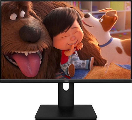 Монитор Aiwa MQ270A