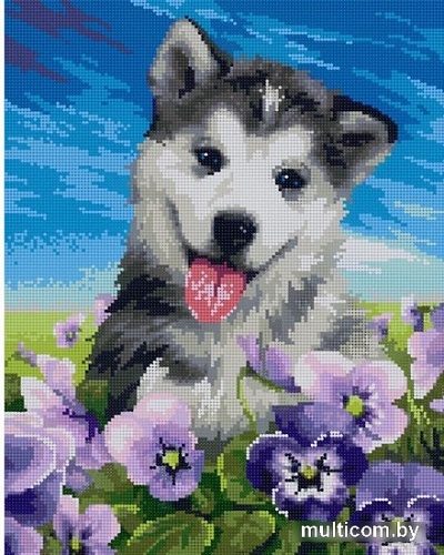 Алмазная мозаика ArtCity Хаски в анютиных глазках DP008