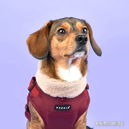 Куртка для животных Puppia Donavan PAUD-VT1853-WN-XL (красный)