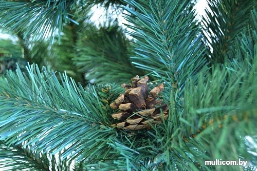 Ель Царь Елка Холидей с шишками 2.1 м