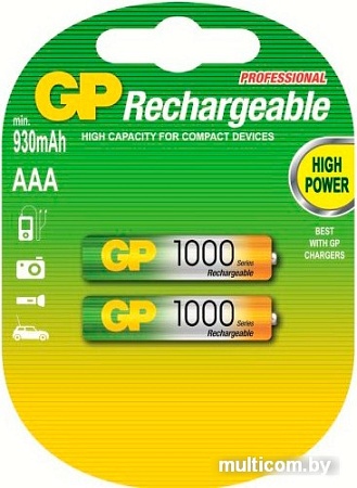 Аккумуляторы GP AAA 1000mAh 2 шт. [100AAAHC]