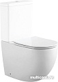 Унитаз Aquanet Rimless Cetus 2.0 C1 LX-2903