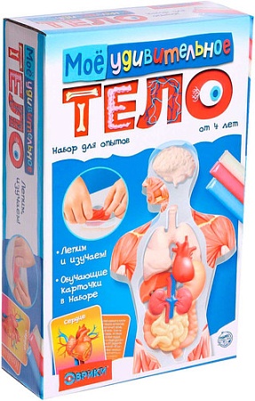 Эврики Мое удивительное тело 5540143