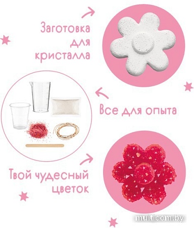 Набор для опытов Bumbaram Кристаллы. Чудесный цветок красный A127