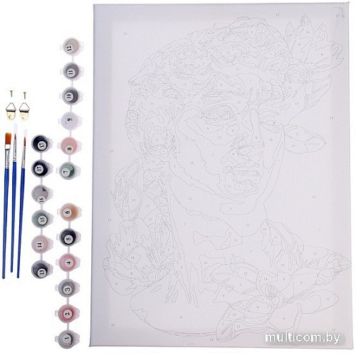 Картина по номерам Школа талантов Давид 9295620