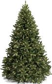 Ель Royal Christmas Washington Premium LED 1.2 м