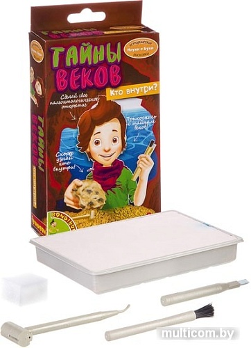 Набор для опытов Bondibon Науки с Буки Тайны веков ВВ2649
