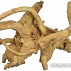 Декорация Lucky Reptile Root RB-M