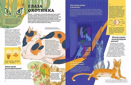 Энциклопедия издательства Альпина Паблишер. Секреты кошек. Как понять свою кошку и подружиться с ней (Рауш С.)