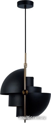 Подвесная люстра LOFT IT Multi-Lite LOFT9915-BL