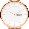 Наручные часы Skagen Gitte SKW3013