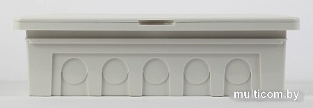 Бокс пластиковый Эра Unique Б0046854