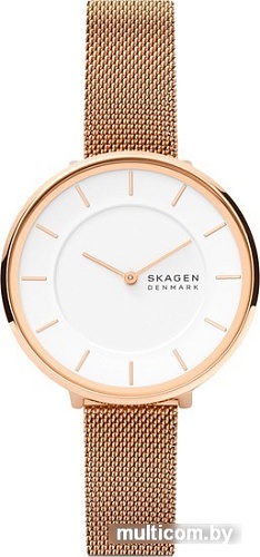 Наручные часы Skagen Gitte SKW3013
