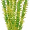 Искусственное растение Laguna Амбулия жёлто-зеленая 2956 30 см