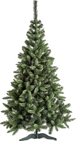 Ель Sonic Горная ель 1.5 м