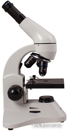 Levenhuk Rainbow 50L Plus (лунный камень) 69051