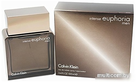 Calvin Klein Intense Euphoria Men EdT (100 мл)