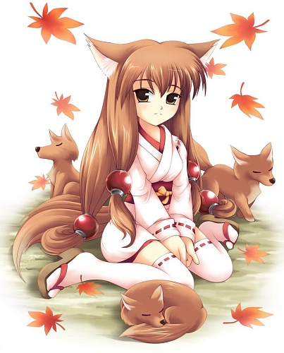 Картина по номерам Рыжий кот Покровительница лисов Х-3973