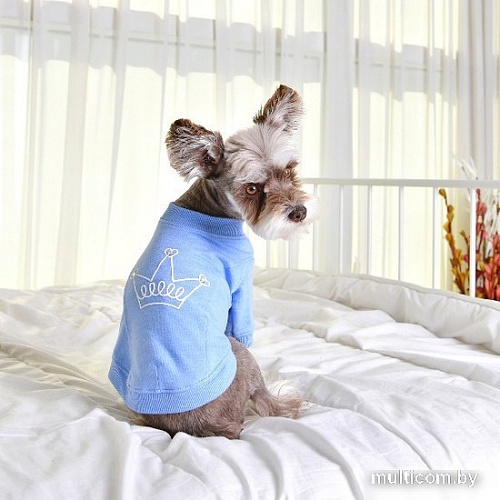 Футболка Pinkaholic Gwyneth NATA-TS7559-MB-S (голубой)