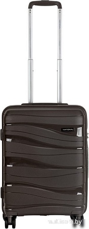 Чемодан National NLT101-M (коричневый)
