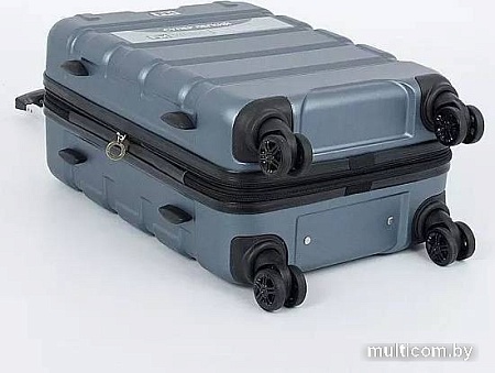 Чемодан-спиннер Francesco Molinary 336-161426/3-20 (серый)