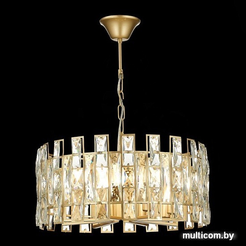 Подвесная люстра ST Luce Anzio SL1626.203.08