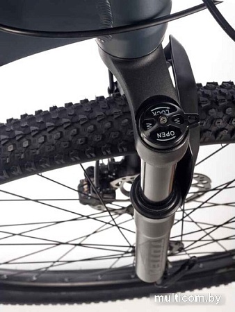 Велосипед Totem Cruiser-29HDA (серый)