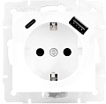 Розетка USB Lezard Vesna 742-0288-181TC