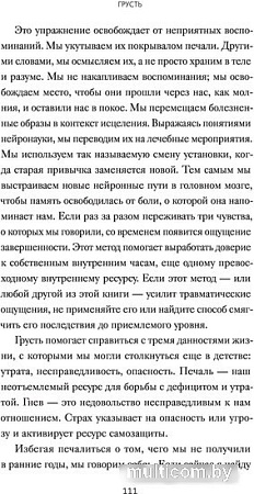 Книга издательства МИФ. Эмоциональные триггеры. Как понять, что вас огорчает, злит или пугает, и обратить реакцию в ресурс (Дэвид Ричо)