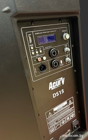 Активная акустика Acury DS15