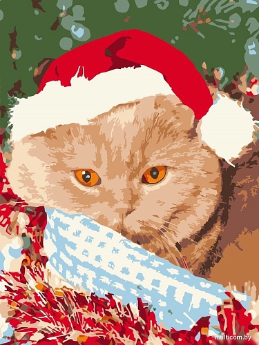 Рыжий кот Новогодняя фотосессия кота Х-7527