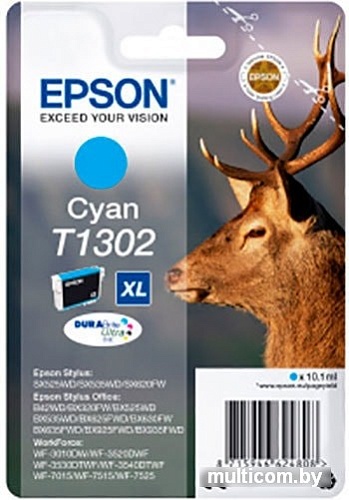 Картридж Epson C13T13024012