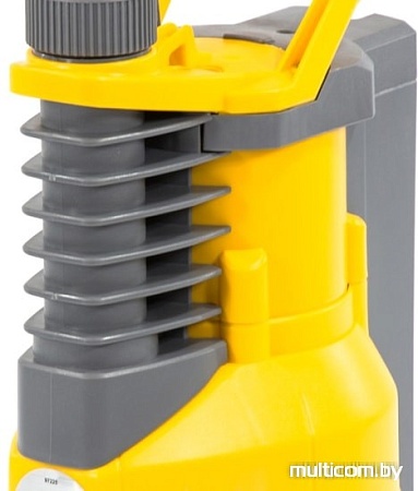 Насос Denzel DPХ650