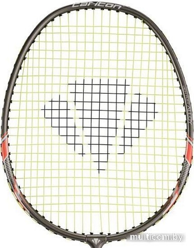 Теннис/бадминтон Carlton Solar 700