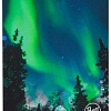 Шарф (бафф) Buff Polar Northern Lights/Black 135039.845.10.00