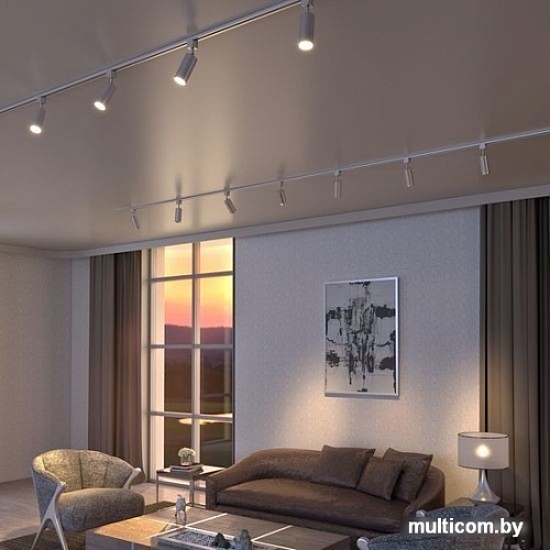 Трековый светильник Elektrostandard Svit GU10 MRL 1013 (хром/матовый)